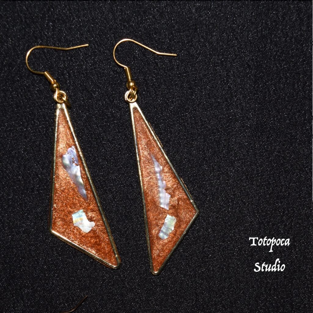 Resin and abalone earrings