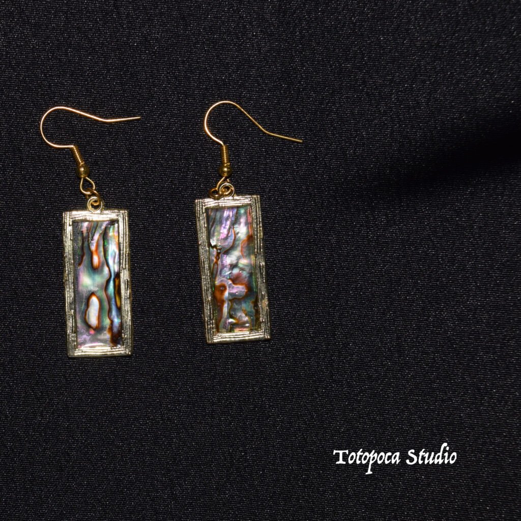 Abalone shell earrings