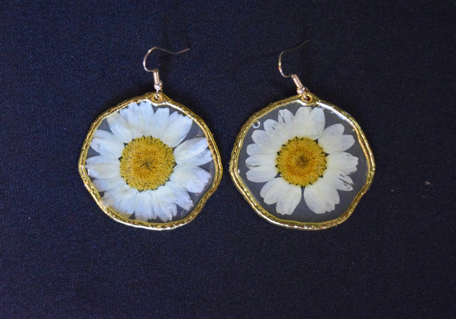 Golden round open bezel earrings with white daisy in transparent resin.